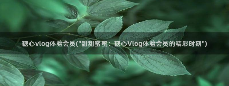 糖心vlog最漂亮：糖心vlog体验会员(\