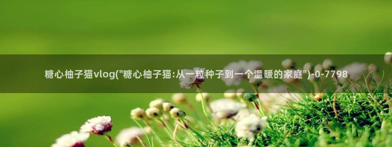 糖心vlog技术：糖心柚子猫vlog(\