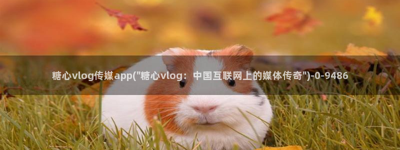 糖心vlog女神推荐：糖心vlog传媒a