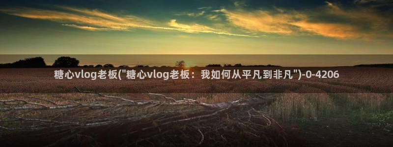 糖心vlog破解：糖心vlog老板(\