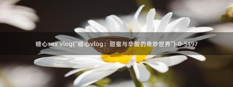 心糖vlog lingling：糖心se