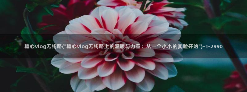 糖心vlog全集：糖心vlog无线路(\