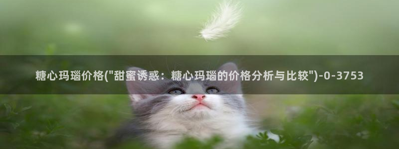 糖心vlog国产剧