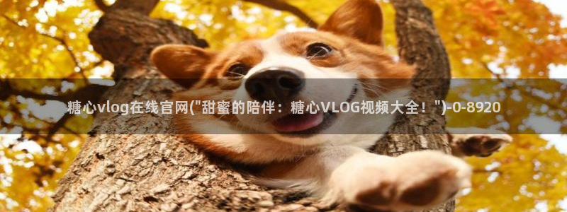 可以看糖心vlog的软件
