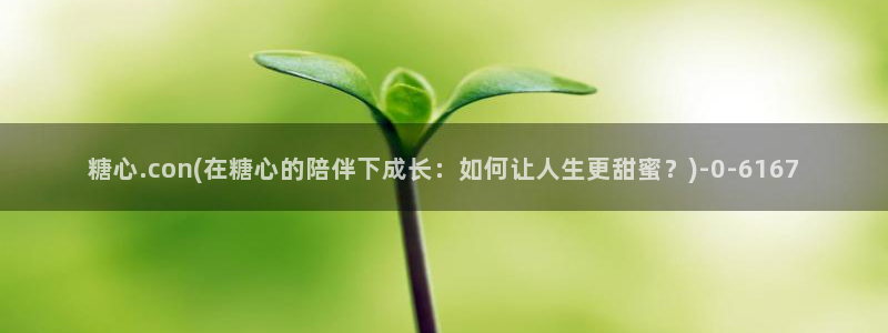 糖心vlog网站版