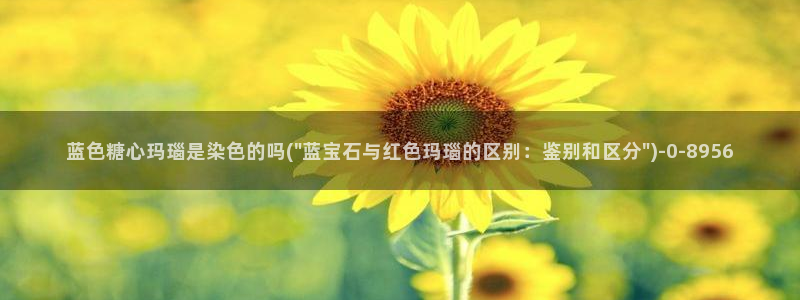 糖心vlog记录