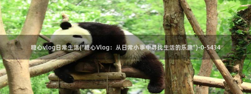糖心vlog深夜释放自己vlog