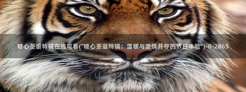 糖心vlog产精国品免费入