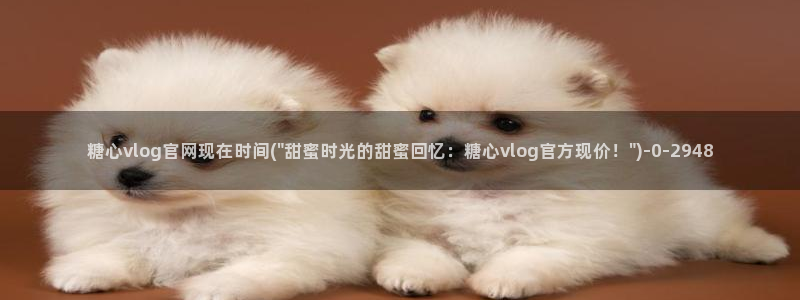 糖心vlog视频观看