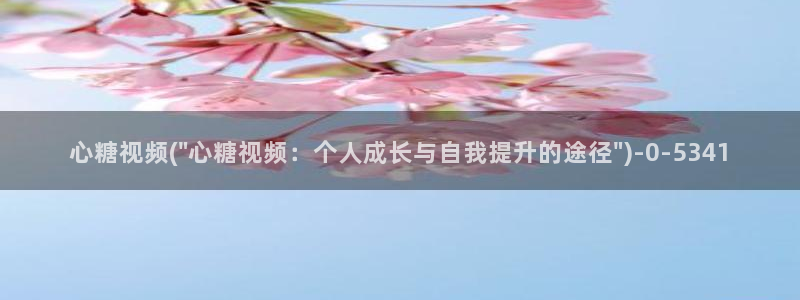 糖心出品vlog