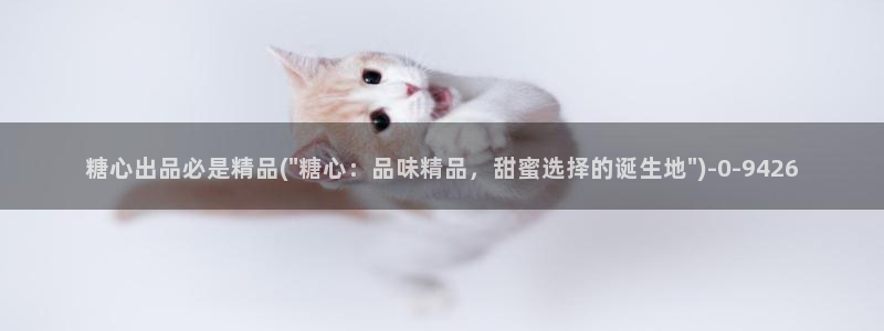 糖心的vlog日常