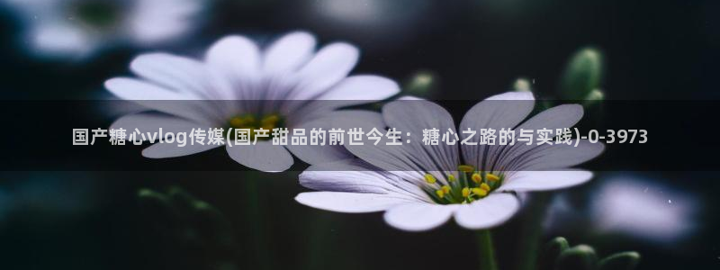 糖心vlog国产一区