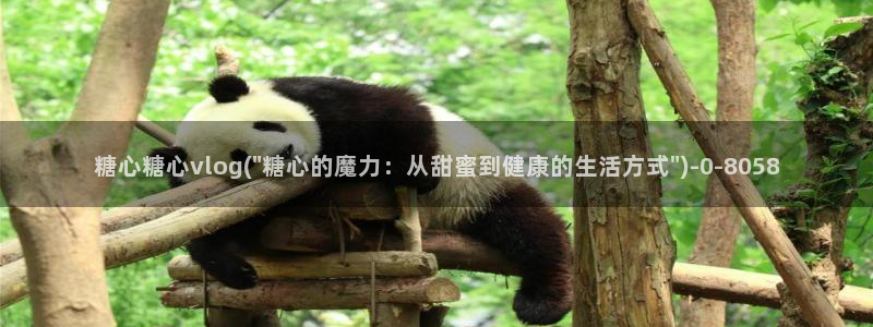 糖心出品vlog传媒