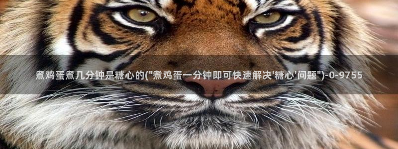 糖心vlog下载app官网