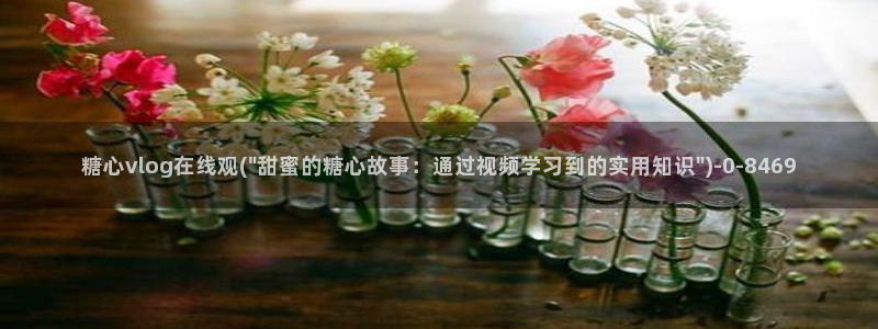 糖心vlog+