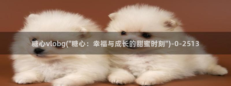 糖心vlog官网破解版