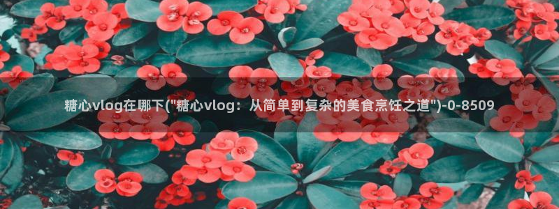糖心vlog视频网站