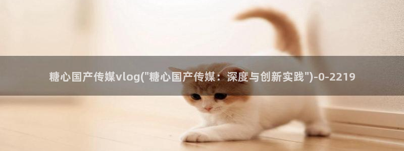 糖心vlog精品在线