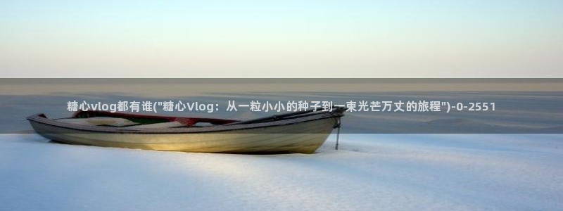 糖心vlog精品一区